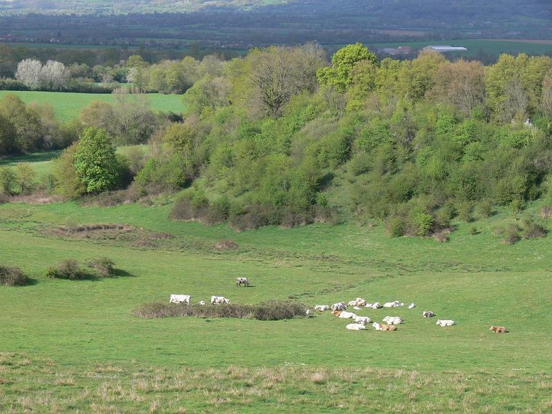 Mont Saint Michel 2010 - 125.jpg